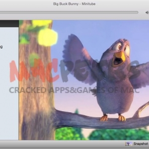 Minitube for mac 2.5.1 Youtube视频播放器