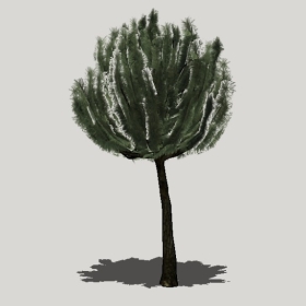 ���ֲ��_Enscape���ʲ�ͼ��ʦģ���������202204205591