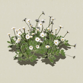 ����-Sketchup��ͼ��ʦEnscape����ģ��20220511121