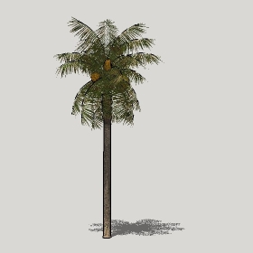 草图大师模型植物简模齐全2022年1257
