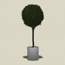 ����ֲ��-Sketchup��ͼ��ʦEnscape����ģ��20220511276