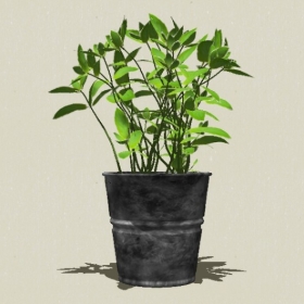 ����ֲ��-Sketchup��ͼ��ʦEnscape����ģ��2022051180