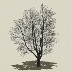 ��ľ-Sketchup��ͼ��ʦEnscape����ģ��20220511125