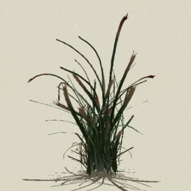 ��-Sketchup��ͼ��ʦEnscape����ģ��2022051185