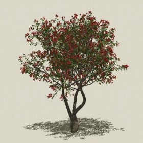 ��ľ��ľ-Sketchup��ͼ��ʦEnscape����ģ��2022051113