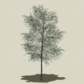 ��ľ-Sketchup��ͼ��ʦEnscape����ģ��2022051188