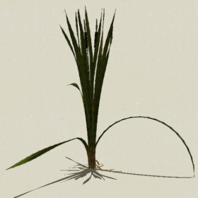 ��-Sketchup��ͼ��ʦEnscape����ģ��2022051176