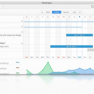 Pagico for mac 7.3 管理项目 协同项目管理