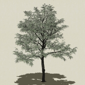 ��ľ-Sketchup��ͼ��ʦEnscape����ģ��2022051138