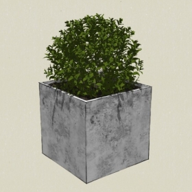 ����ֲ��-Sketchup��ͼ��ʦEnscape����ģ��20220511151