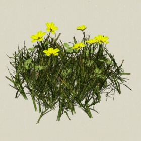 ����-Sketchup��ͼ��ʦEnscape����ģ��2022051156