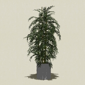 ����ֲ��-Sketchup��ͼ��ʦEnscape����ģ��20220511200