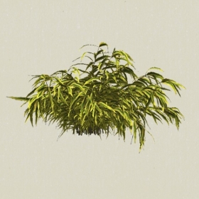 ��ľ-Sketchup��ͼ��ʦEnscape����ģ��2022051180