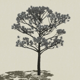 ��ľ��ľ-Sketchup��ͼ��ʦEnscape����ģ��2022051182