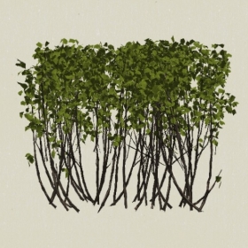 ��ľ-Sketchup��ͼ��ʦEnscape����ģ��2022051153