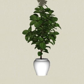 ����ֲ��-Sketchup��ͼ��ʦEnscape����ģ��20220511452