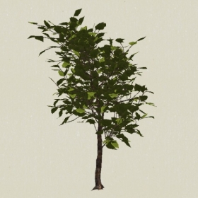 ��ľ-Sketchup��ͼ��ʦEnscape����ģ��2022051192