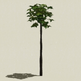 ��ľ-Sketchup��ͼ��ʦEnscape����ģ��20220511152