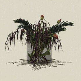 ����-Sketchup��ͼ��ʦEnscape����ģ��20220511111