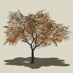 ��ľ-Sketchup��ͼ��ʦEnscape����ģ��2022051169