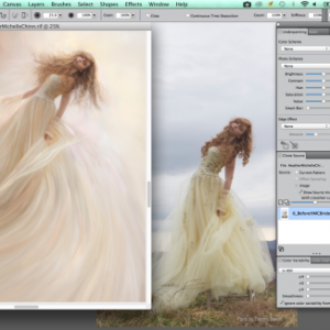 软件 Corel Painter 2015－图形软件