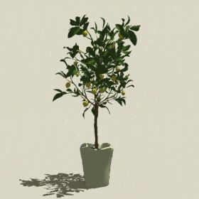 ����ֲ��-Sketchup��ͼ��ʦEnscape����ģ��20220511301