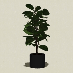 ����ֲ��-Sketchup��ͼ��ʦEnscape����ģ��20220511165