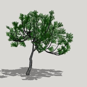 草图大师模型植物简模齐全2022年1232