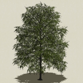 ��ľ-Sketchup��ͼ��ʦEnscape����ģ��2022051130