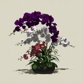 ����ֲ��-Sketchup��ͼ��ʦEnscape����ģ��20220511118