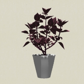 ����ֲ��-Sketchup��ͼ��ʦEnscape����ģ��20220511238