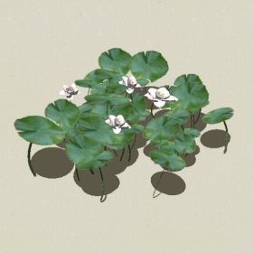 ����-Sketchup��ͼ��ʦEnscape����ģ��20220511111