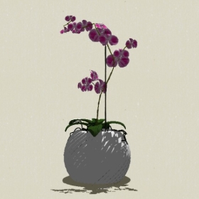 ����-Sketchup��ͼ��ʦEnscape����ģ��2022051195