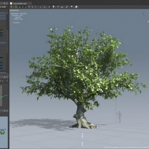 SpeedTree Cinema 7.0.7 Mac 三维真实树木建模动画软件